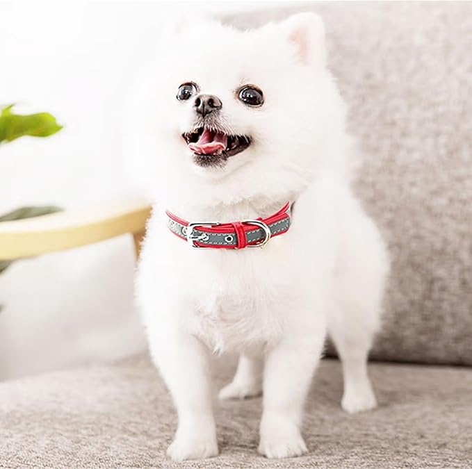 Yonsbox Personalized Reflective Dog & Cat Collar with Silent ID Tag, Custom Engraved Pet Name & Phone Number, Ultra Soft Microfiber, No-Jingle Safety Collar for Small Medium Large Dogs