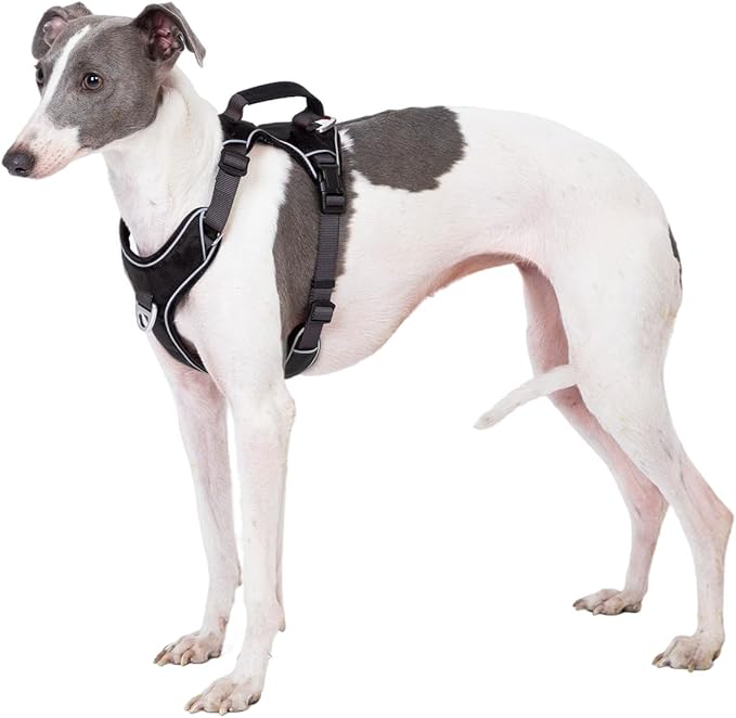 No Pull Dog Harness with Back Control Handle for Large Dogs, Reflective Vest, Adjustable and Padded, Easy Walk Front/Back Clips(Black, Large)