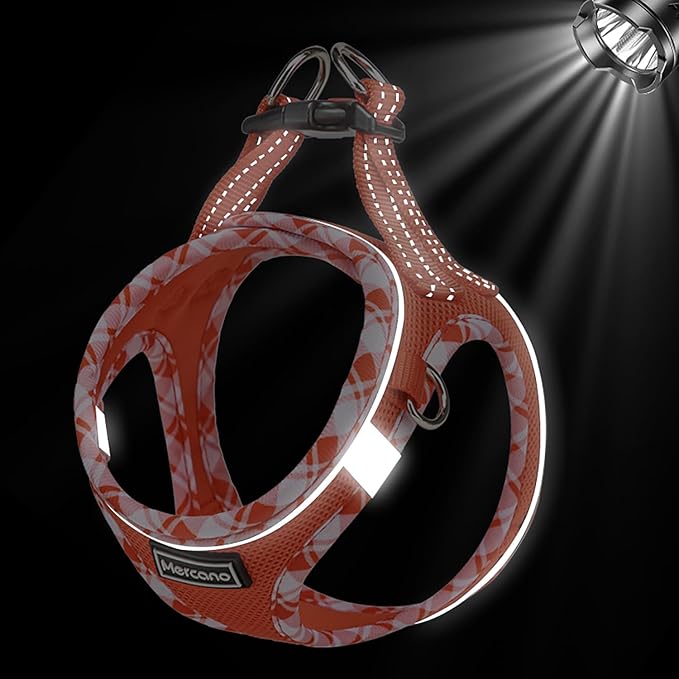 Mercano Soft Mesh Dog Harness and Leash Set, No-Chock Step-in Reflective Breathable Lightweight Easy Walk Vest Harnesses with Safety Buckle for Small Dogs, Cats (Tangerine, XS)