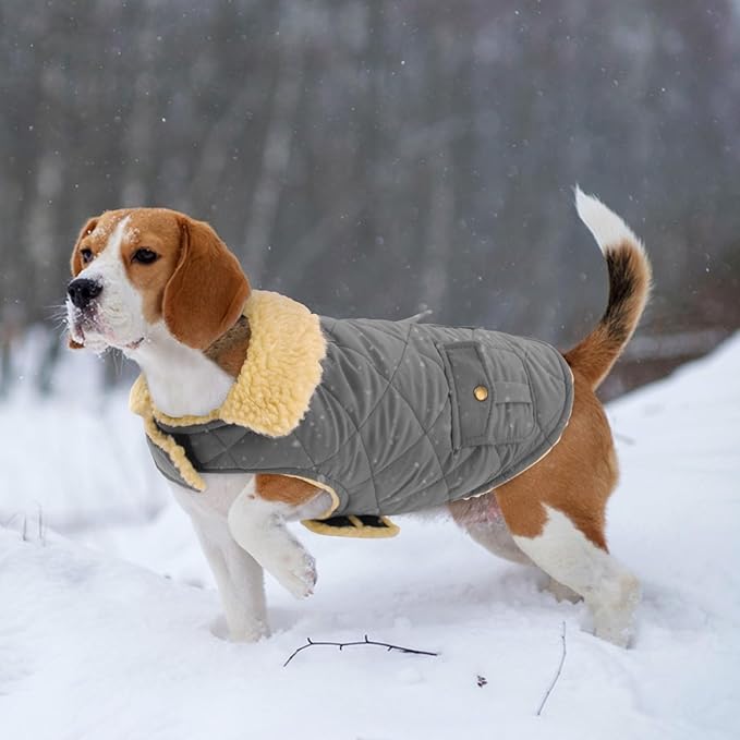 Dog Winter Coat for Medium Dogs, Puppy Plaid Jacket, Pet Coat for Cold Weather, Windproof Warm Dog Jackets, Pet Thickened Outfits Indoor Outdoor, Grey M