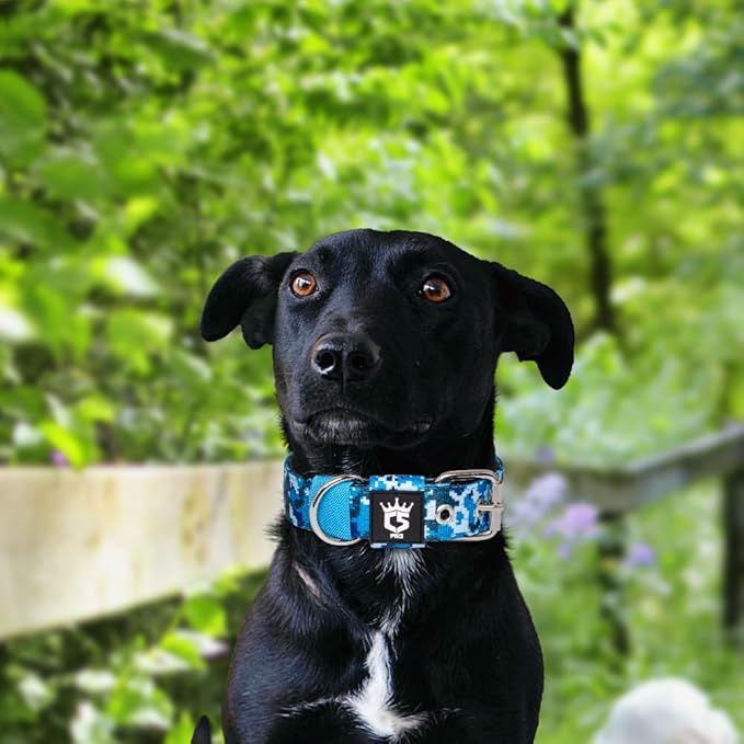 TSPRO Tactical Dog Collar 1.25 Inch Wide Thick Dog Collars with Heavy Duty Metal Buckle, Durable, Strong, Adjustable for Small Dogs (Camo Blue S)