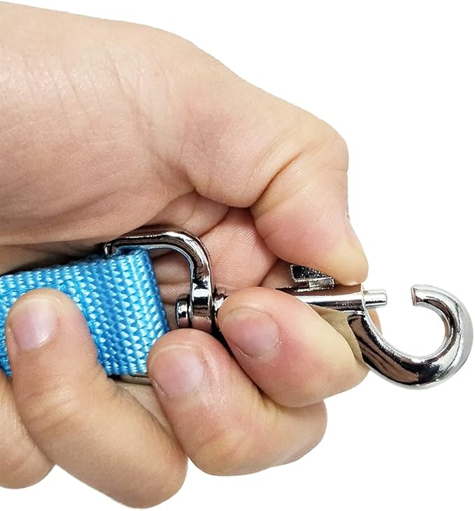 Strong Nylon Dog Leash with 2-Layer, 4 FT/ 6 FT/ 7FT Long, 1 Inch Wide for Medium Large Dogs (Sky Blue, 1'' x 2 FT)