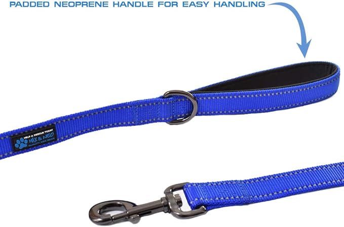 Max and Neo Double Handle Traffic Dog Leash - Reflective, Donates to Dog Rescue (Teal, 4 FT)