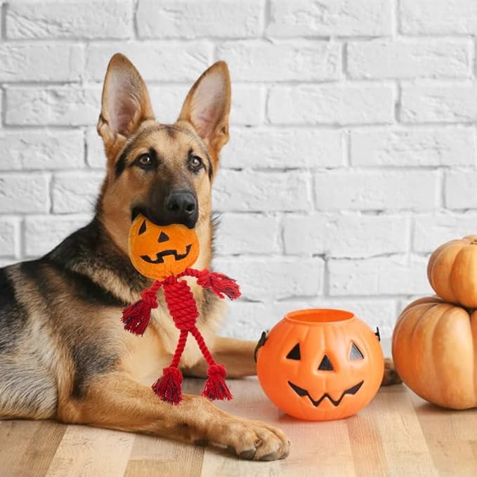 PUPTECK Halloween Dog Squeaky Chew Toys - 3 PCS Funny Pumpkin Plush Stuffed Toys for Puppy Pet Tugging Playing