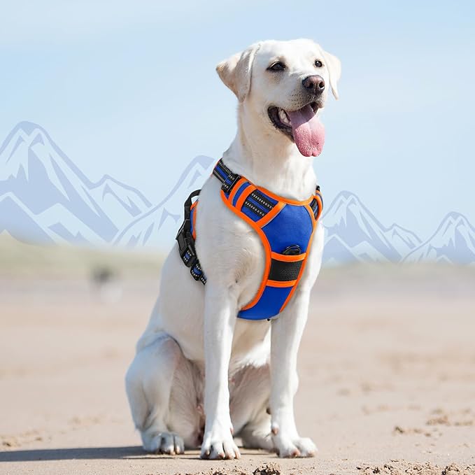 Eagloo Dog Harness for Large Dogs, No Pull Service Vest with Reflective Strips and Control Handle, Adjustable and Comfortable for Walking, No Choke Pet Harness with 2 Metal Rings, Blue & Orange, L