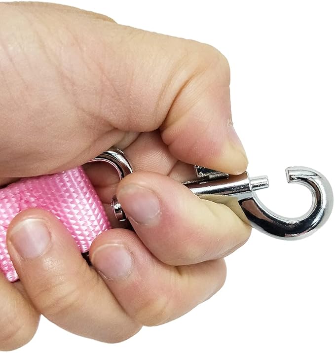 Strong Nylon Dog Leash with 2-Layer, 4 FT/ 6 Feet Long, 1 Inch Wide for Medium Large Dogs (1'' x 7 FT, Pink)