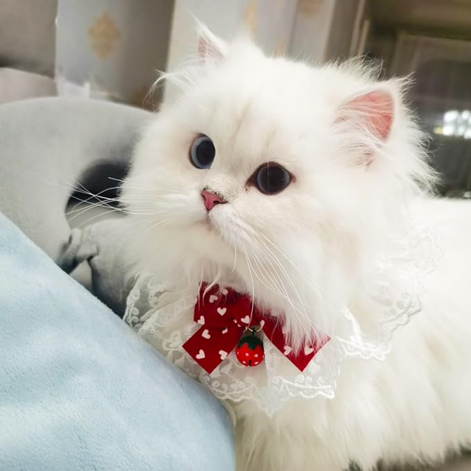 Elegant Lace Cat Collar with Cute Bow,Kitty Necklace with Bow Tie and Strawberry Small Bell,Pet Lace Bib Collar with Cute Bow,Cat Princess Costumes,Red,1 Piece