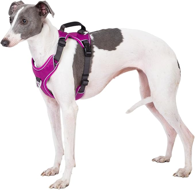 No Pull Dog Harness with Back Control Handle Medium Sized, Reflective Vest, Adjustable and Padded, Easy Walker Front/Back Clips (Purple, Medium)