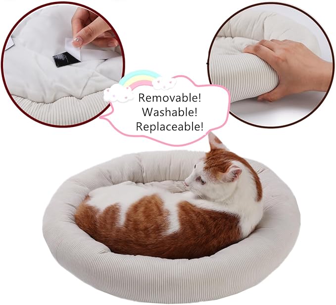 SHENGOCASE Modern Natural Wood Cute Multifunctional Cat Tree Tower Small, Large Top Perch Bed, Sisal Scratching Post, Tilted Angled Ramp Scratcher, Climbing Rope Toy