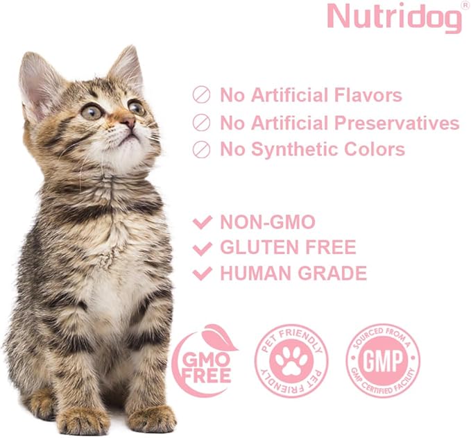 Skin & Coat Cat Chews - Omega 3, Vitamin E, Biotin Supplements for Healthy Skin, Glossy Coat & Anti - Shedding, Salmon Flavor 100ct Soft Chews (Salmon)