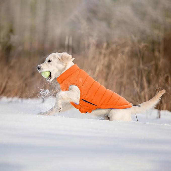 Lelepet Reversible Dog Coat Waterproof Dog Jacket Windproof Puffer Vest for Winter Warm Lightweight Coats for Large Dogs Adjustbale Hook & Loop Pet Apparel with Leash Hole, Pitbull, Orange, XL