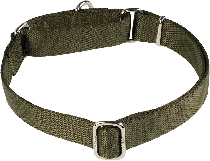 Hyhug Pets Premium Upgraded Heavy Duty Nylon Anti-Escape Martingale Collar for Boy and Girl Dogs Comfy and Safe - Professional Training, Daily Use Walking. (Army Green, Small)