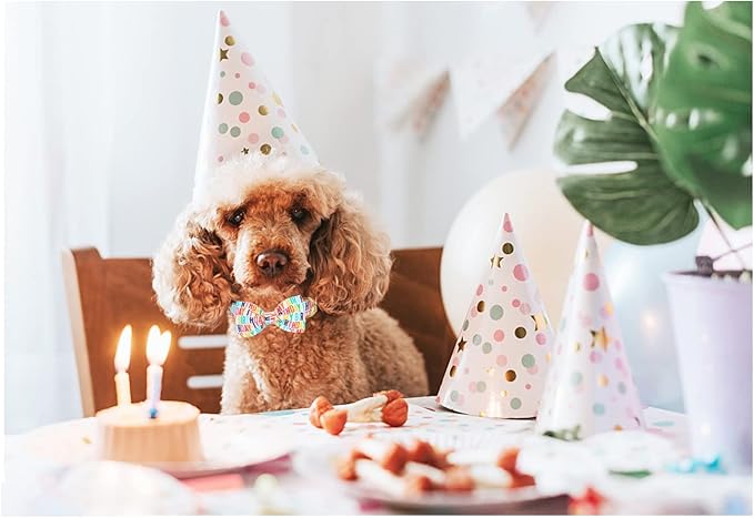Unqiue Style Paws Birthday Dog Collar, Soft and Cute Dog Bow Tie, Durable Pet Collar with Bow Adjustable Bow Dog Collar for Large Dogs