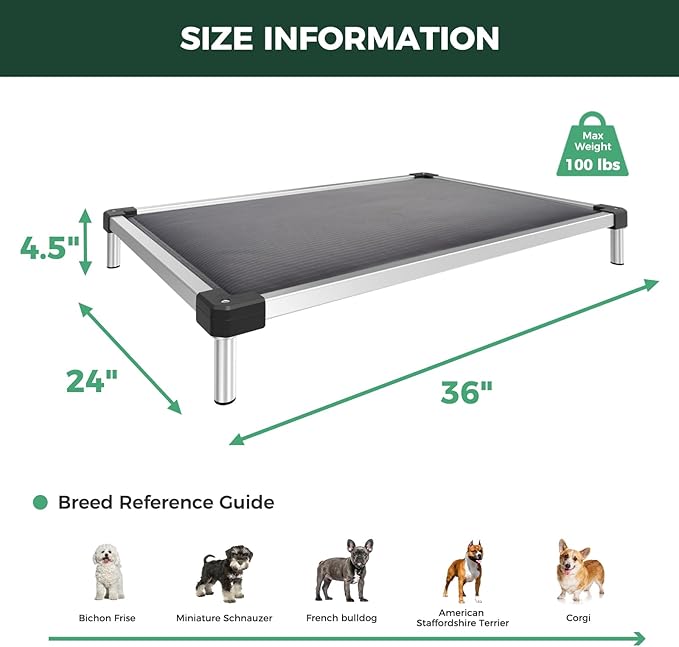 FXW TitanNest Chew-Proof Elevated Dog Bed, Raised Cot for Indoor/Outdoor/Camping Use, Durable & Washable Padded Pet Bed for Small Dogs, 36.0" L x 24.0" W x 4.5" H, Gray