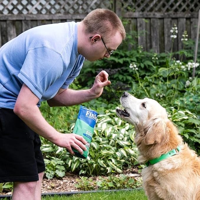 Finley's Peanut Butter & Pumpkin Dog Biscuit Treats, All Natural, Limited Ingredient Dog Treats, 12 Ounce (Pack of 1)