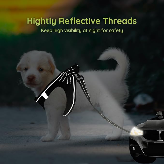 BELLA & PAL Step in Vest Harness for Small and Medium Dogs, No Pull Small Dog Harness with Leash Set, Comfortable Air Mesh Dog Vest Harness with Reflective Strip (Deep Black, L)