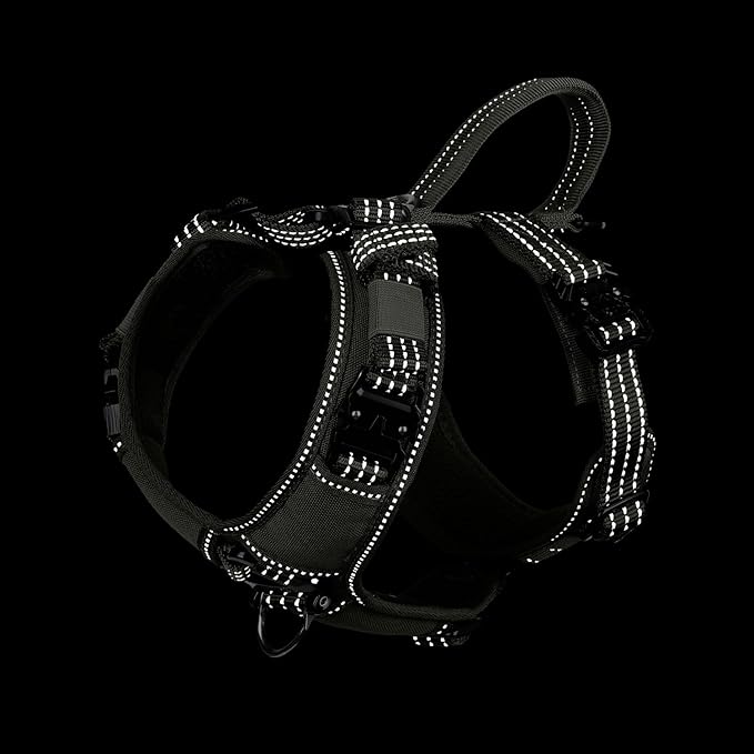 ICEFANG Dog Strap Harness with All-Metal Hardware,for Small Sized Dog,K9 Vest,Y-Shape Soft Padding,Adjustable Pet Harness,No-Pull Front Leash Clip (Small (Pack of 1), Green)