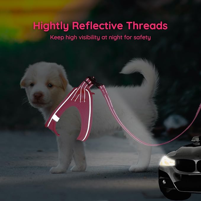 BELLA & PAL Step in Vest Harness for Small and Medium Dogs, No Pull Small Dog Harness with Leash Set, Comfortable Air Mesh Dog Vest Harness with Reflective Strip (Hot Pink, M)