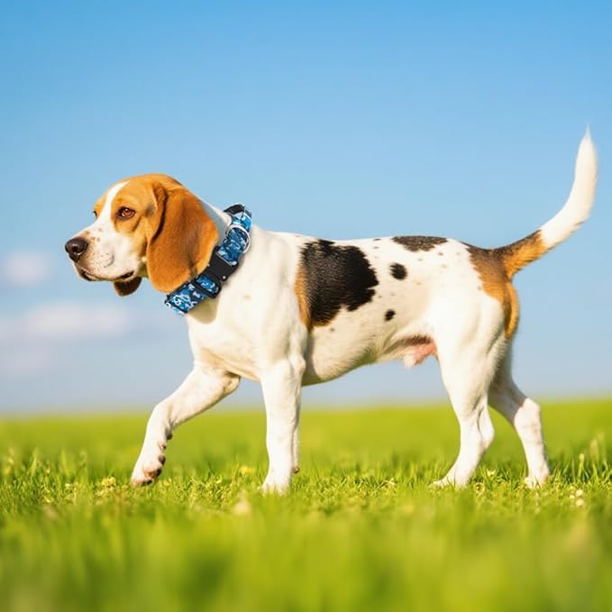 TSPRO Premium Dog Collars Tactical Dog Collar with Handle and Heavy Duty Quick-Release Metal Buckle Durable Thick and Adjustable for Medium to Large Dogs (Geometric Style M)