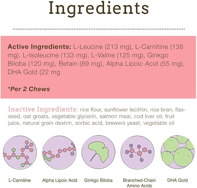Herbsmith Senior Dog Wisdom – Dog Dementia Supplement – DHA for Senior Dog Brain Health - Senior Supplement for Dogs- 60ct Large Chews