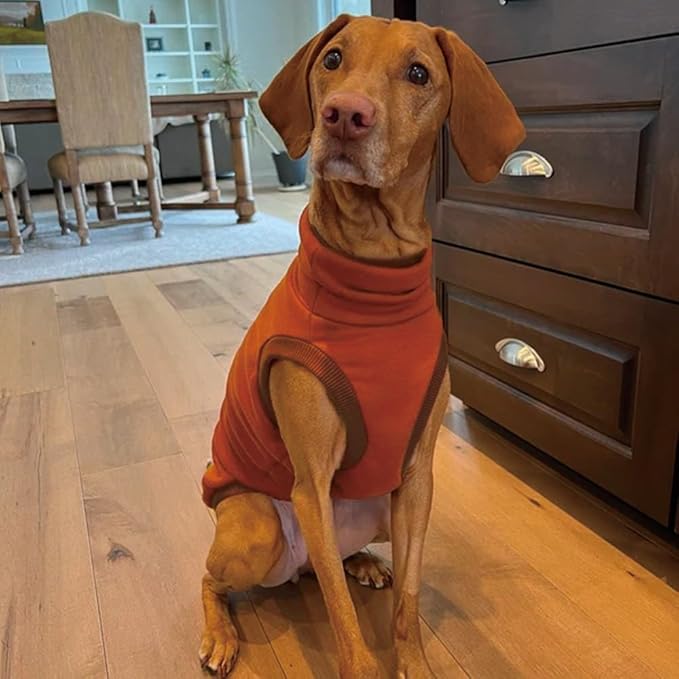 Sweatshirt for Vizsla/Weimaraner/Poodle/Dalmatian/German Dog, Reflective Sleeveless Warm Cotton Clothes for Big Dogs (Orange, Medium(Chest 23'', Back 20.5''))