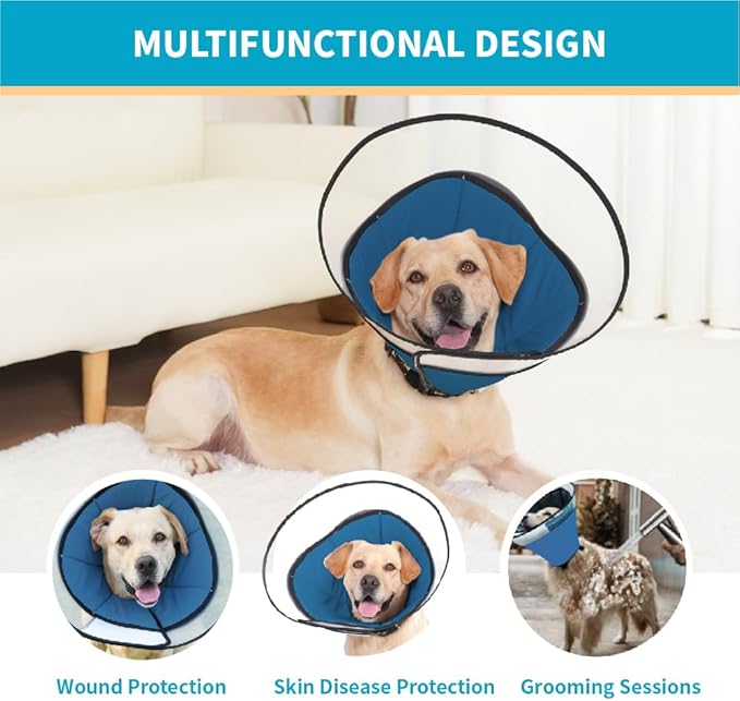 Cone Pet Cone (Blue, L(15.5"-17.8"))