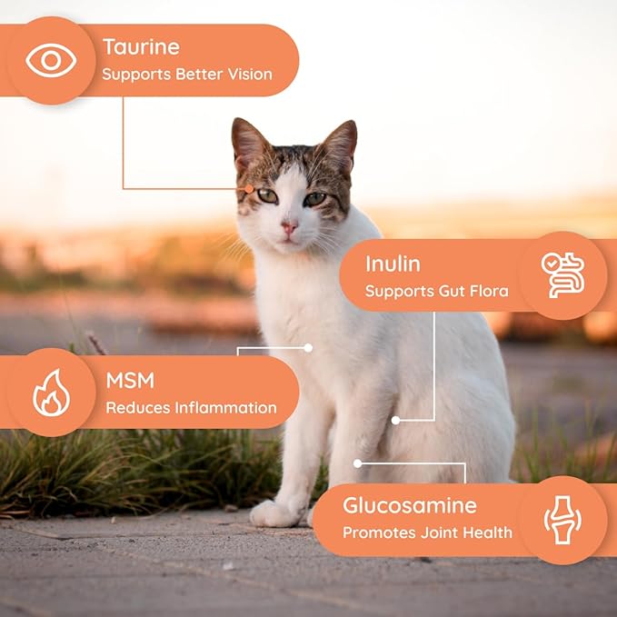 Cat Hydration Electrolyte and Cat Joint Supplement | Hydration Support for Cats w/Glucosamine, Chondroitin, L-Glutamine, Taurine, Lysine & Prebiotics | for Tuna Lovers | 16 Packets