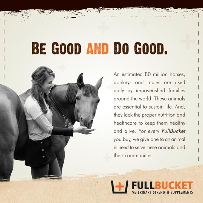 FullBucket Daily Dog Probiotic 150 Servings - Support Natural Digestion, Treat & Prevent Diarrhea - Probiotics, Prebiotics & Digestive Enzymes All in One Tasty Probiotic Powder for Dogs