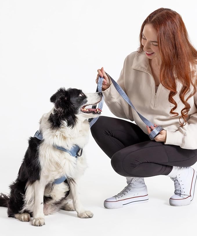 2025 New Edition, Fei & Eve Classic Dog Harness - Quick-Release Buckles | 3-Point No-Pull Control | Heavy-Duty 900D Nylon | Dual Safety Handles | Breathable Mesh | Adjustable Fit | X-Large,Dusk Blue