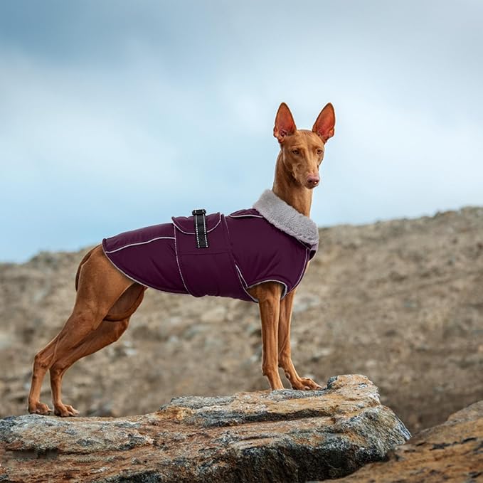 Lelepet Warm Dog Coat Reflective Fleece Vest Waterproof Dog Jacket with Adjustable Buckle Hook & Loop Windproof Cold Weather Coats for Small Medium Large Dogs, Dark Purple, M