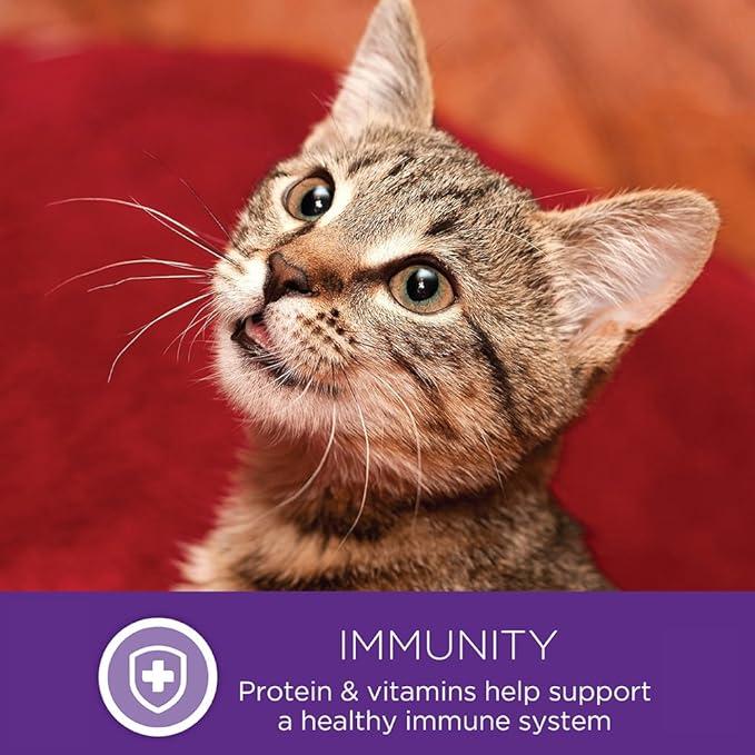 Wellness Healthly Indulgence Morsels Adult Wet Cat Food, Natural, Protein-Rich, Grain Free, 3 Ounce Pouch, 24 Pack, (Turkey & Duck)