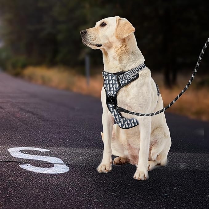IVY&LANE No Pull Dog Harness with Leash Set, Reflective No Choke Pet Vest,Adjustable Oxford Dog Vest Harness with Easy Control Handle for Small Dogs (Vintage Blue,S)