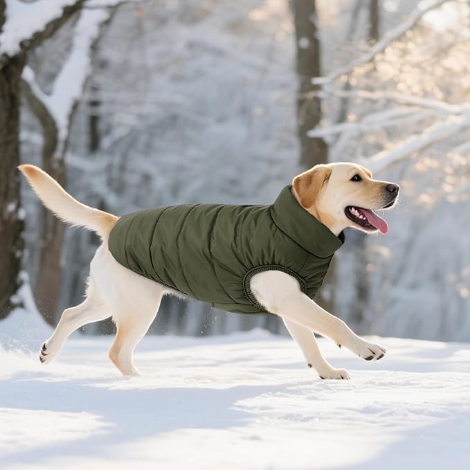ASENKU Windproof Dog Winter Coat Waterproof Fleece Jacket Cold Weather Pet Apparel for Small Medium Large Dogs (ArmyGreen, 2XL)