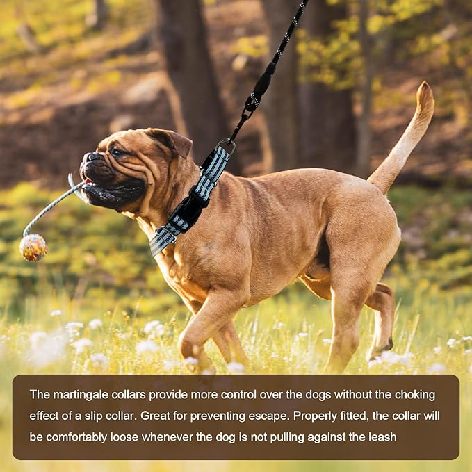 Hikiko Martingale Dog Collars Reflective Nylon Dog Collar with Quick Release Buckle Adjustable Training No Slip Dog Collar (Medium, Sky Blue)