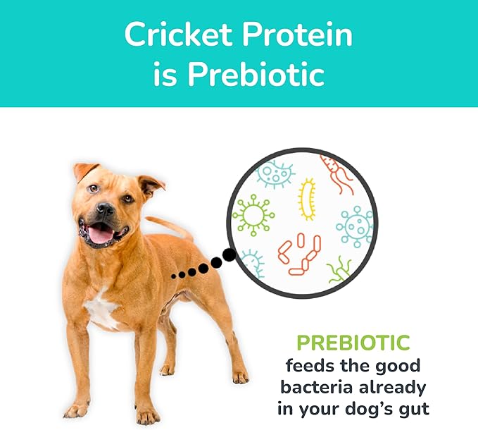 Jiminy's Cravin' Cricket & Good Grub Dry Dog Food Bundle, Two 3.5 lb Bags