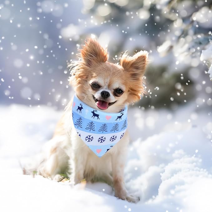 Abbylike 50 Pcs Winter Dog Bandanas Bulk Blue Snowflake Dog Bandanas for Pets Triangle Kerchief Scarf Bibs for Winter Pets Cats Party Costume Photo Props Accessories Pet Shops (19.7 x 13.8 x 13.8)