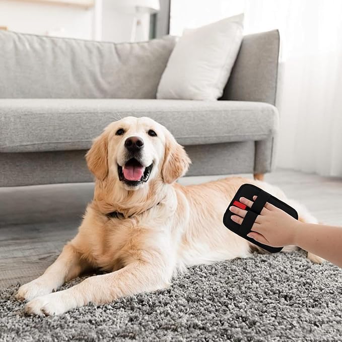 braxan 4 Pcs Electrostatic Pet Hair Removal Gloves, Reusable Pet Cat Dog Electrostatic pet Hair Remover for Couch, Furniture, Carpet, Curtain, Double-Sided Grooming Gloves