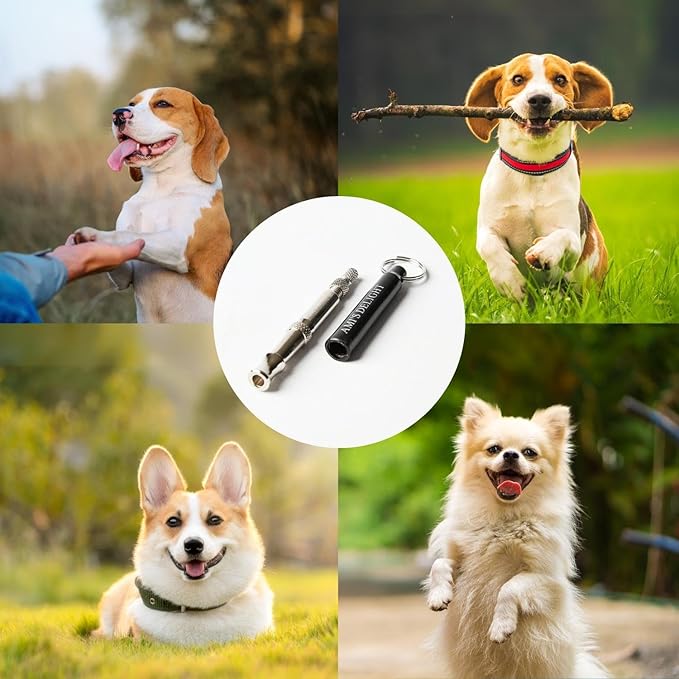 Ami's Delight Dog Whistle Set of 5 | 2PCS Premium Quality Adjustable Dog Whistles with 2 Black Lanyards and a Dog Clicker | Ultrasonic Dog Whistle to Stop Barking Neighbors Dog