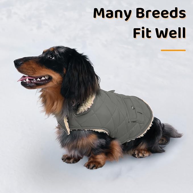 Queenmore Dog Winter Coat - Fleece Jacket, Waterproof Cold Weather Clothes, Thick Warm Cotton Padding, Easy On Storage Pockets (Grey, Large)