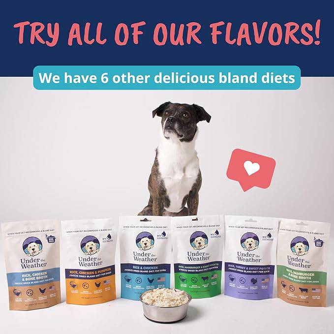 Under the Weather Bland Diet for Dogs | Easy to Digest Stomach Support for Sick Dogs | Contains Electrolytes, All Natural | 6 Pack - Turkey, Oatmeal, Sweet Potato & Slippery Elm - 6oz