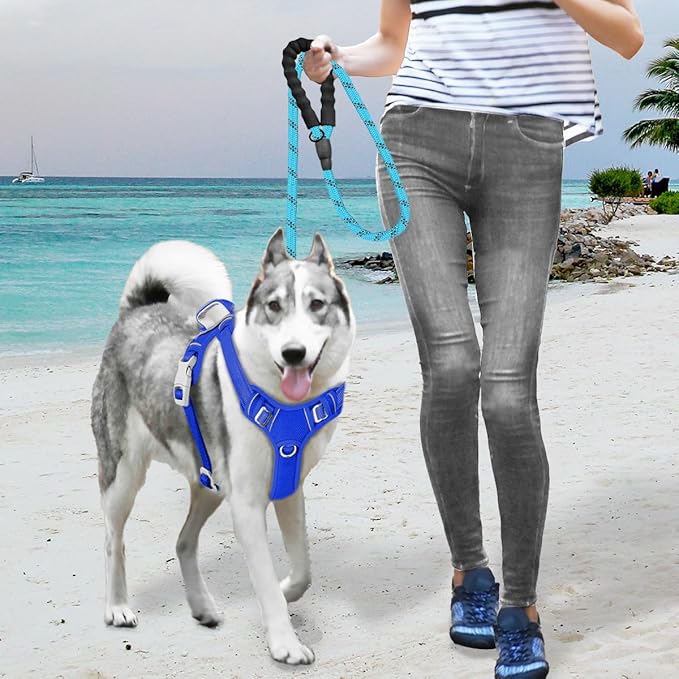 BARKBAY No Pull Dog Harness Large Reflective Dog Harness with Front Clip and Easy Control Handle for Walking Training Running with ID tag Pocket(Sapphire Blue,L)