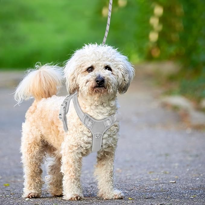 BARKBAY No Pull Dog Harness Large Reflective Dog Harness with Front Clip and Easy Control Handle for Walking Training Running with ID tag Pocket(Grey,XS)