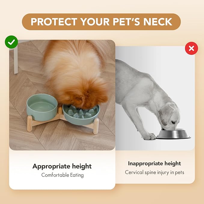 Ceramic Raised Slow Feeder Dog Bowl Set, Elevated 5.1inch Bowl and 6.1inch Slow Pet Food Dish with Wooden Stand for Small Dog and Cat (2 x Light Green+ Stand)