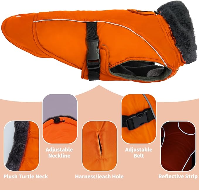 DENTRUN Medium Dog Winter Jacket - Warm Reflective Windproof Coat, Adjustable Neck & Snap Closure, Water Repellent Thick Fleece Vest, Fleece Lined for Beagle Pug, Orange, M