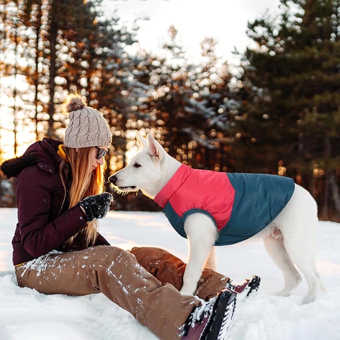 ASENKU Dog Winter Coat - Waterproof Windproof Dog Jacket, Warm Snowproof Doggie Puffer Vest for Cold Weather, Lightweight Snow Coats for Small Medium Large Dogs (Red&Navy, XS)