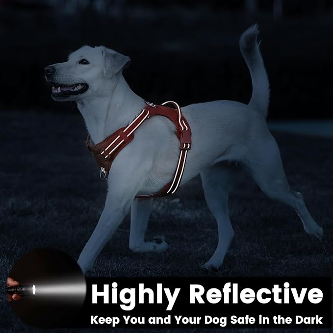 No Pull Dog Harness, Reflective Puppy Vest for Small Medium Large Sized Dog(Orange,M)