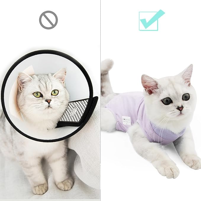 Cat Recovery Suit for Male and Female Surgical Post Surgery Soft Cone Onesie Shirt Clothes Neuter Licking Protective Diapers Outfit Cover Kitten Spay Collar(L, Purple)