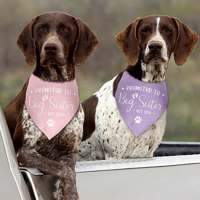2 Pack Promoted to Big Sister Dog Bandana 2026 Pregnancy Announcement Gender Reveal Dog Outfit Baby Announcement Photo Prop Pet Scarf Accessories for Small Medium Large Dog