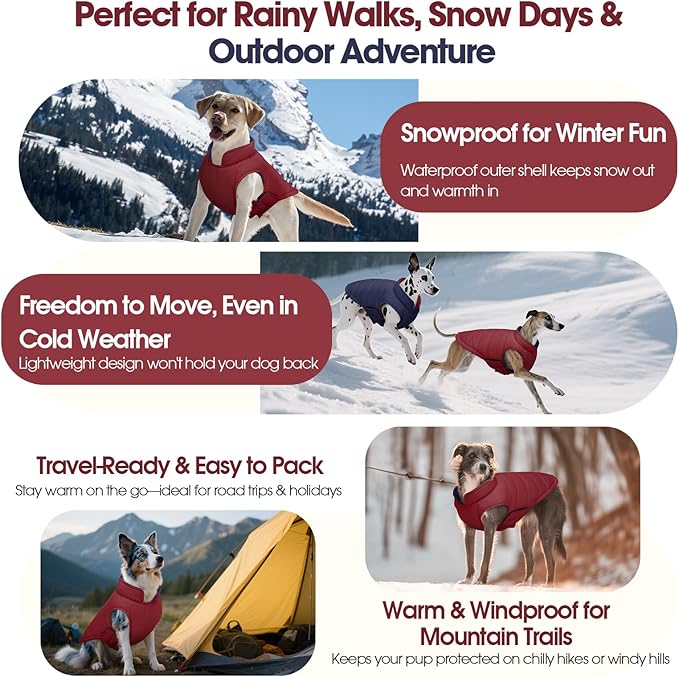 QBLEEV Reversible Dog Puffer Coat, Waterproof Warm Vest for Dogs, Windproof Padded Jacket for Small Dogs, Adjustable Puppy Winter Coats, Snow Cold Weather Coats for Chihuahua Yorkie, Wine Red, XS