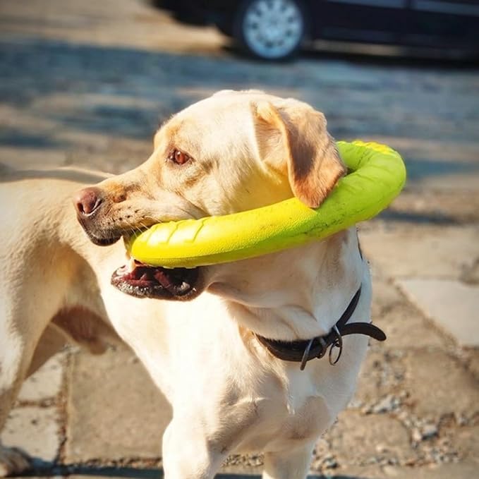 Outdoor Dog Flying Disc Toy, Floating Ring Toys, Dogs Chew Toys Pet Chewers for Small Medium Large Puppy Training Fetching Throwing Catching Interactive Play, Swimming, Water Floats Toys (11''/ 29cm)